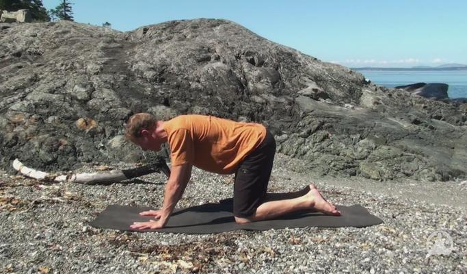 Yoga for the Upper Back