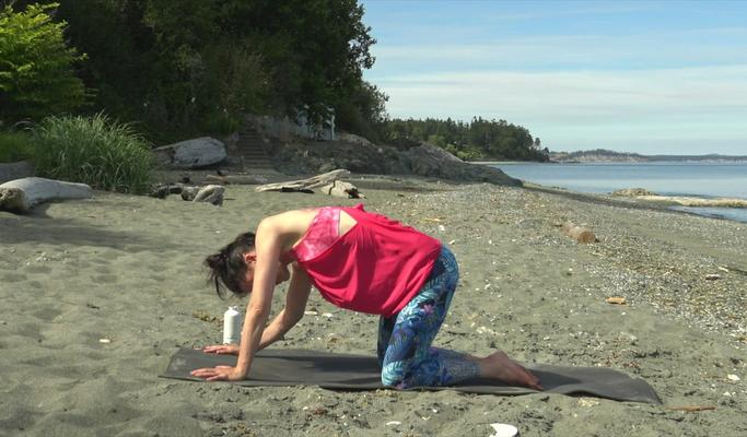 Hatha Yoga For A Hangover