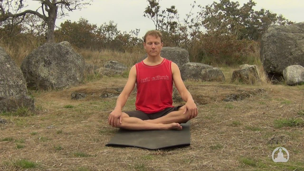 Yoga for Stress Relief